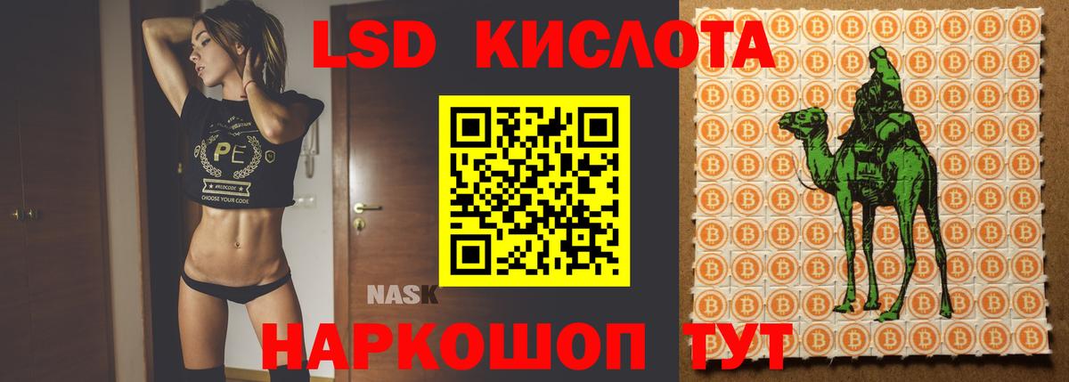 LSD-25 экстази кислота Губаха