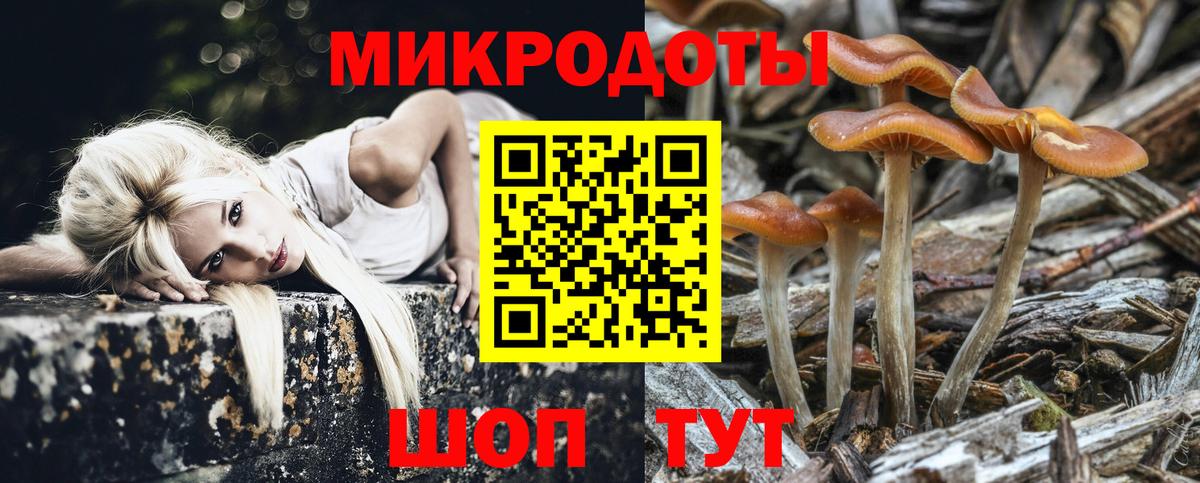 Псилоцибиновые грибы Cubensis Губаха