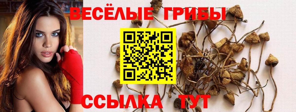 Псилоцибиновые грибы прущие грибы  Вход с VPN  Губаха 