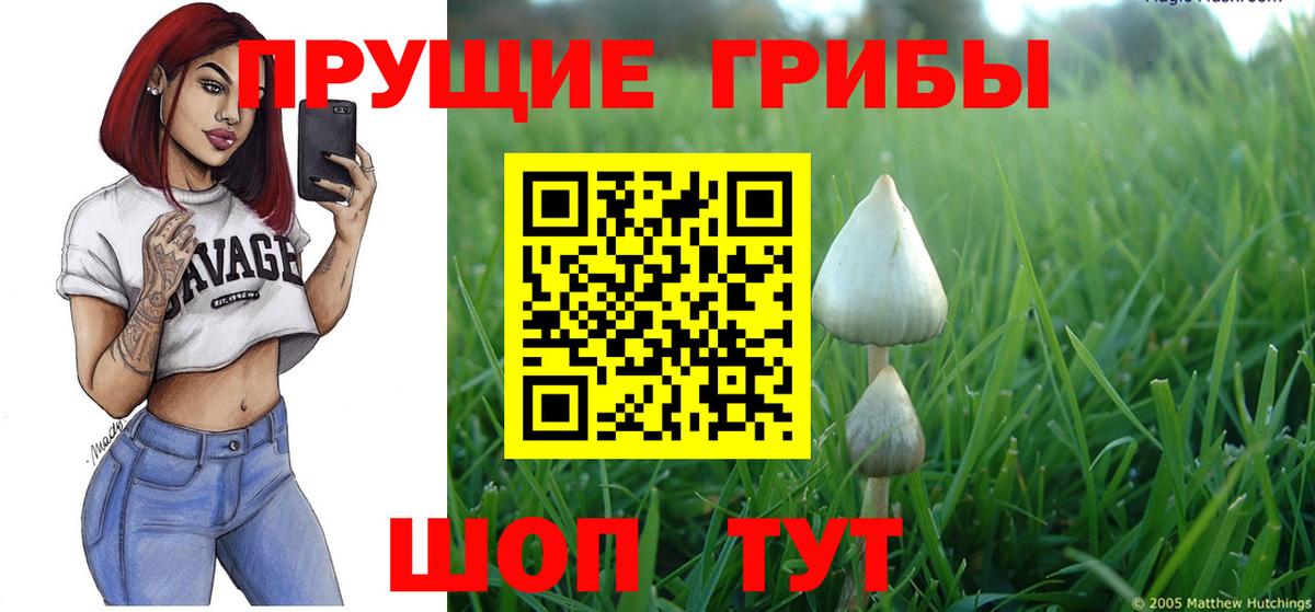 Гашиш Губаха